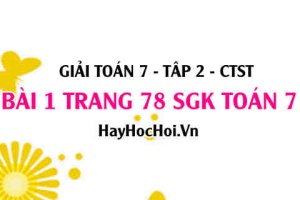 Giải bài 1 trang 78 Toán 7 tập 2 SGK Chân trời sáng tạo